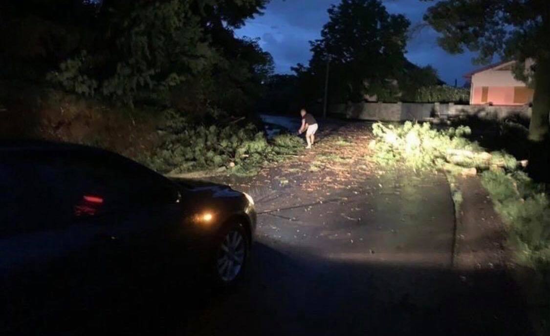 Повалені дерева, знеструмлені вулиці та підтоплені домогосподарства: на Закарпатті вночі вирувала негода (ФОТО, ВІДЕО)