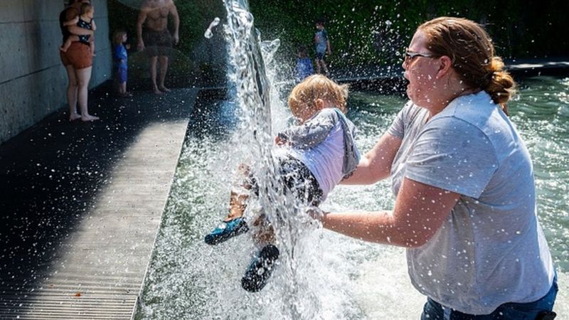 “Люди приїздять провідати близьких, а вони мертві”: аномальна спека в Канаді