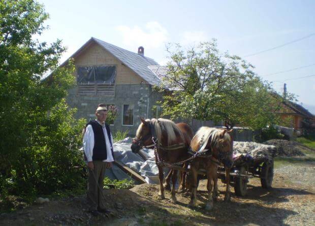 В Берегові є все для розвитку етно-гужового туризму