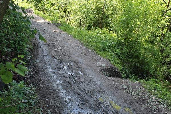 У Вишньому Дубівцю на Тячівщині дорога «сповзає» у прірву (ФОТО)