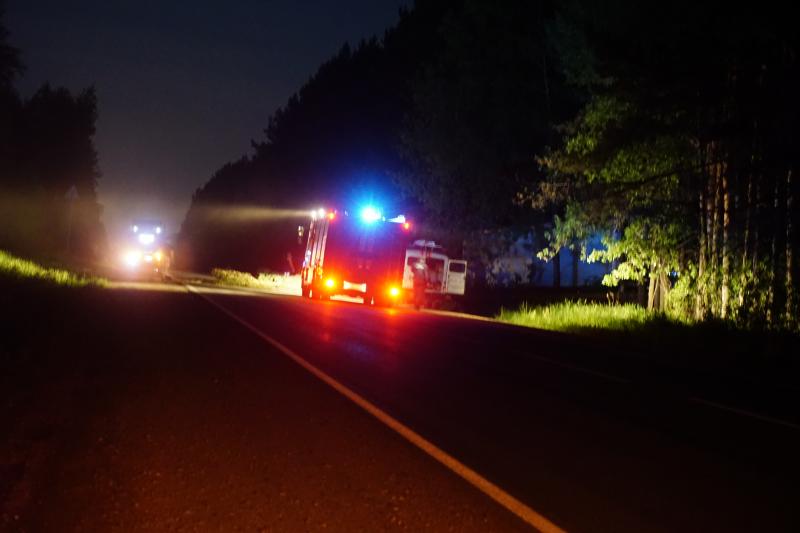 У поліції розповіли про смертельну ДТП у Великому Бичкові на Рахівщині