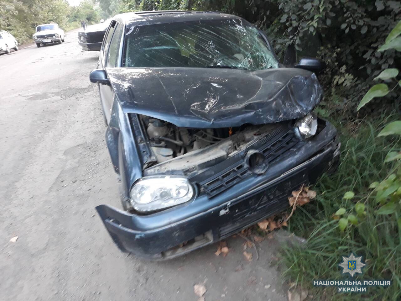 На Виноградівщині з вини п’яного водія постраждали шестеро людей (ФОТО)