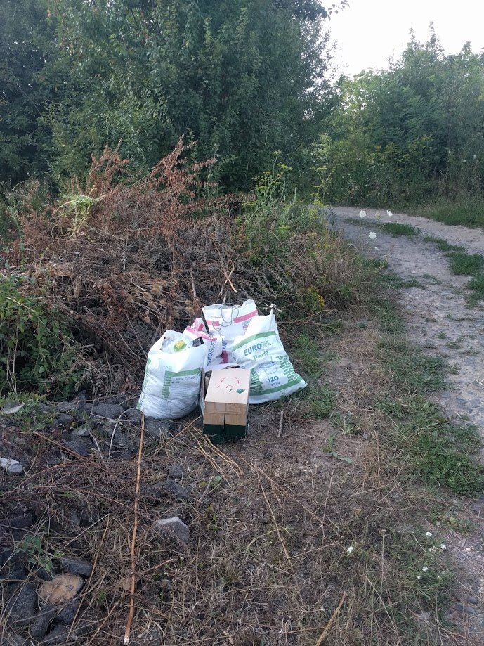 В Берегові сміття «загубилось» серед місцевої краси (ФОТО)