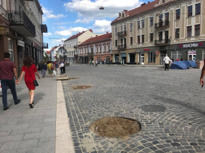 Сакури, платани або клени: ужгородці дискують щодо дерев, які можна посадити на площі Петефі