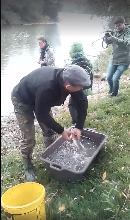 Як порядні Хустські рибаки піклуються про Тису (ВІДЕО)