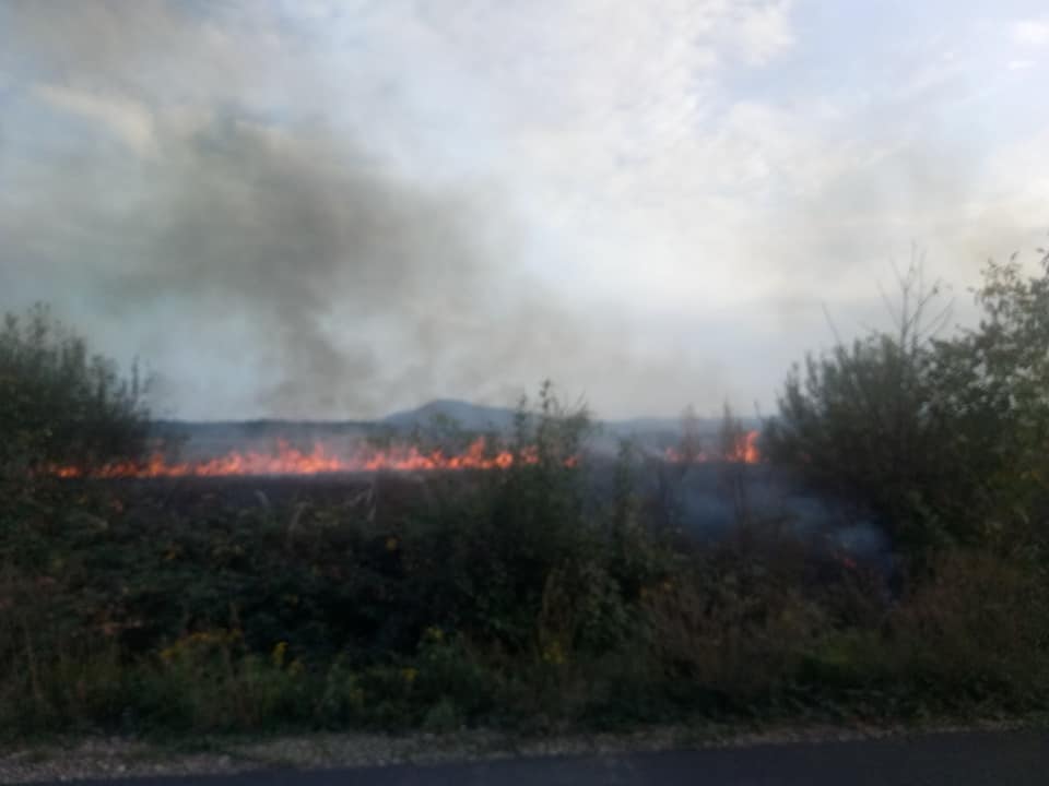 Між Іршавщиною та Берегівщиною горять поля (ФОТО)