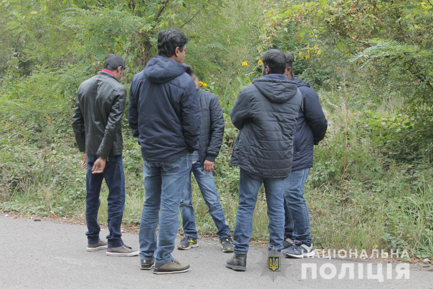 Закарпатський шлях до Європи: кого можна зустріти у прикордонних кущах? (фото, відео)