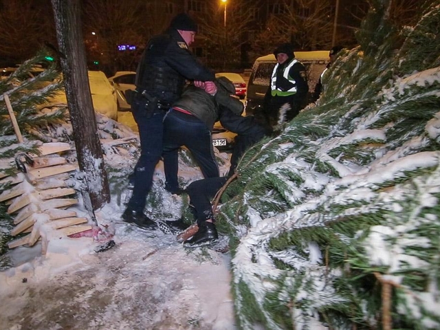 Операція "Ялинка": спроба вкрасти новорічне деревце закінчилася поножовщиною (відео)