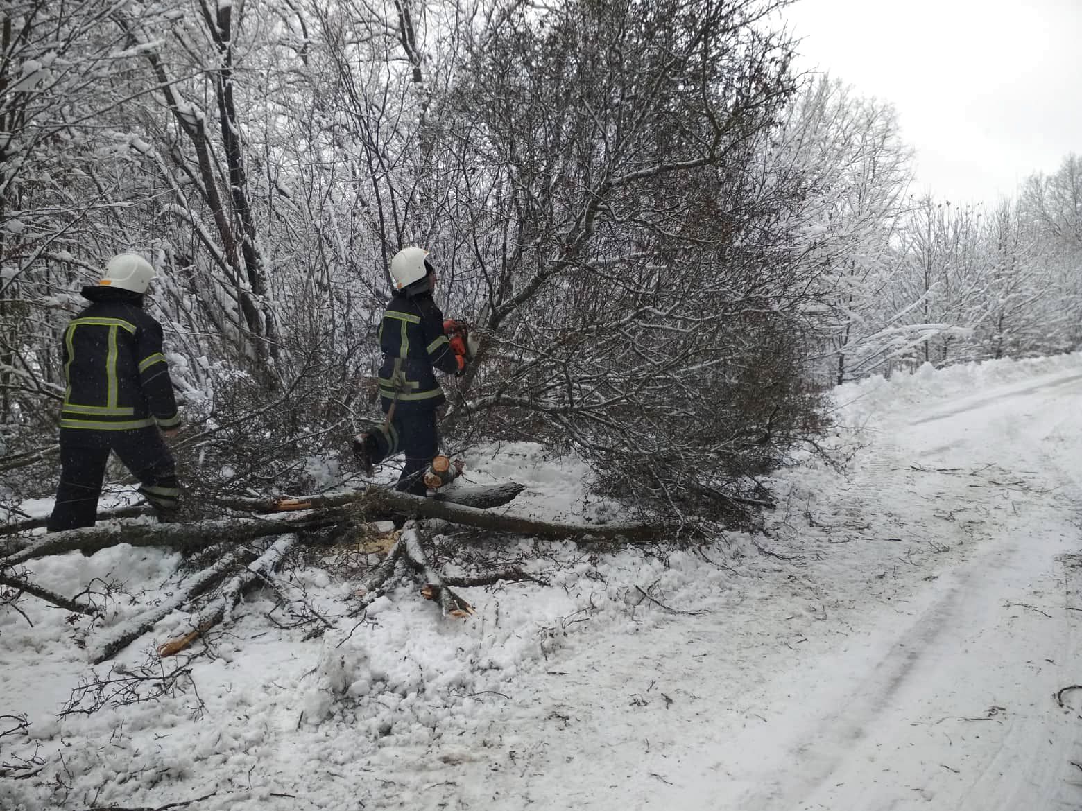 Понад три десятки сіл на Закарпатті через негоду залишилися без світла