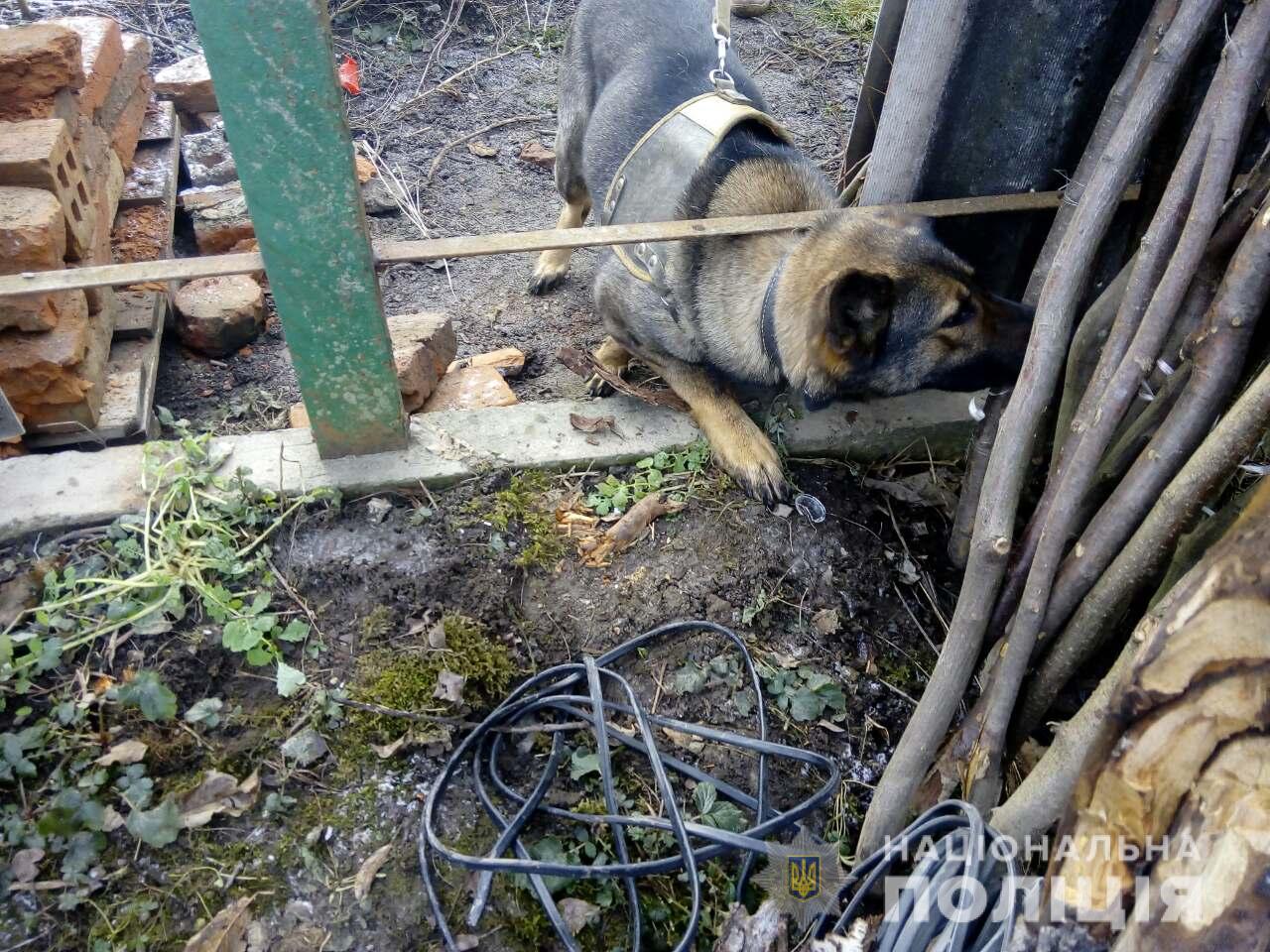 Крадіжка на Мукачівщині: до пошуків довелося залучити службову собаку (ФОТО)