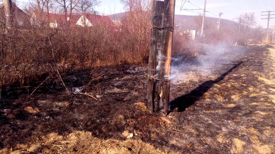 Рятувальники вкотре закликають закарпатців не провокувати пожеж на відкритих територіях (ФОТО)