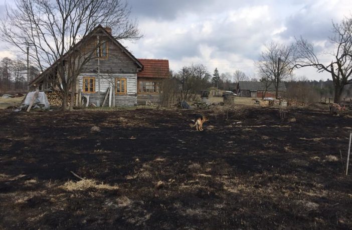 На Львівщині молода сім’я потерпіла від паліїв сухої трави (фото)