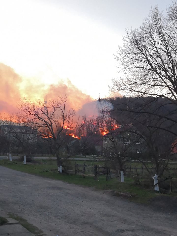 У Чинадієві горить ліс: пожежа набирає обертів (ФОТО, ВІДЕО)