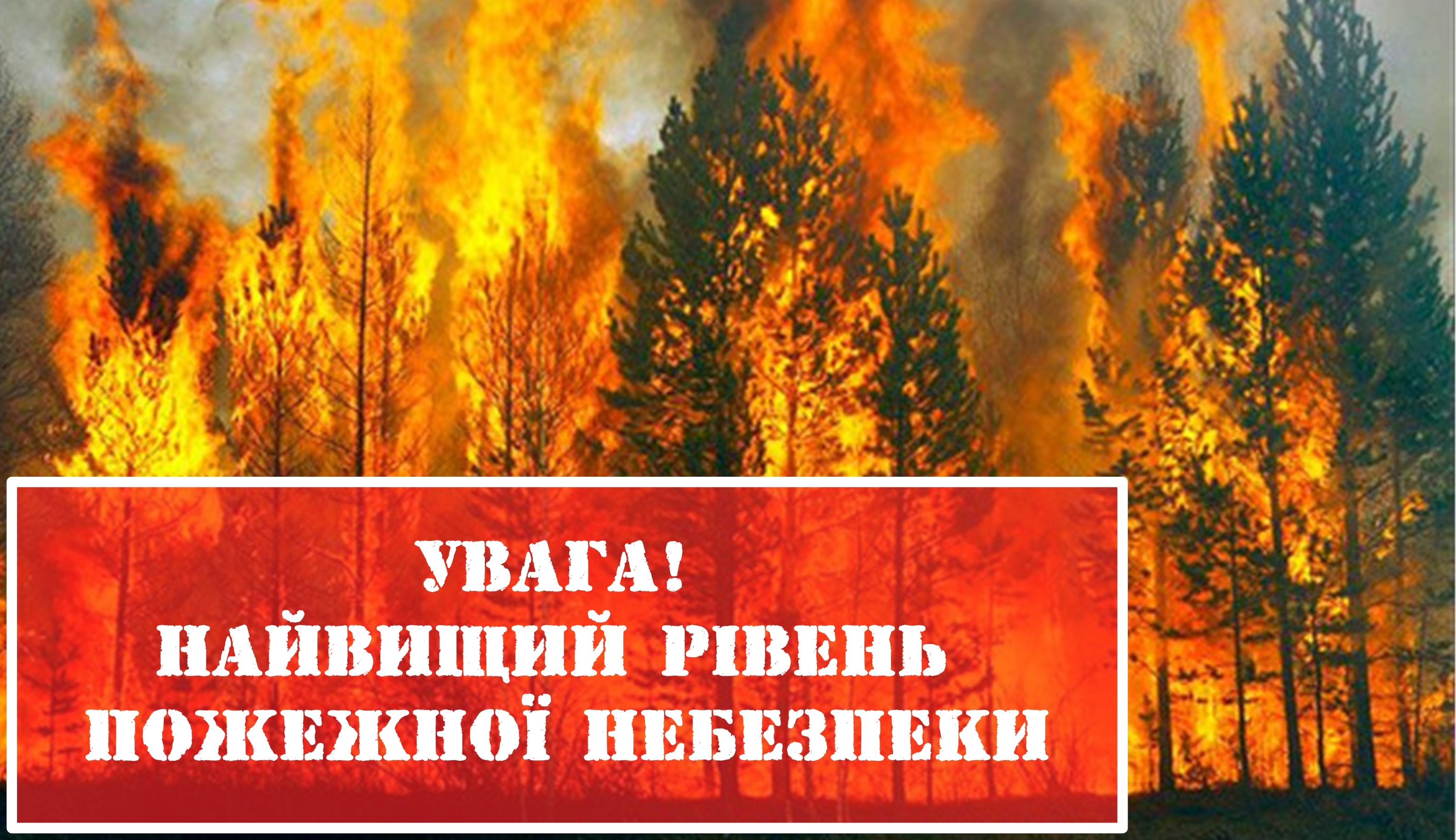 Попередження для жителів області: на Закарпатті надзвичайна пожежна небезпека