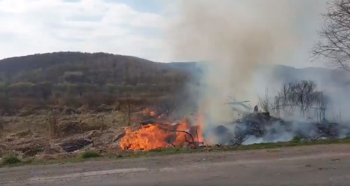 Закарпаття у вогні: палає на Великоберезнянщині (ВІДЕО)