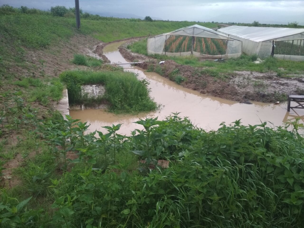 Які збитки на Закарпатті спричинили сильні дощі?