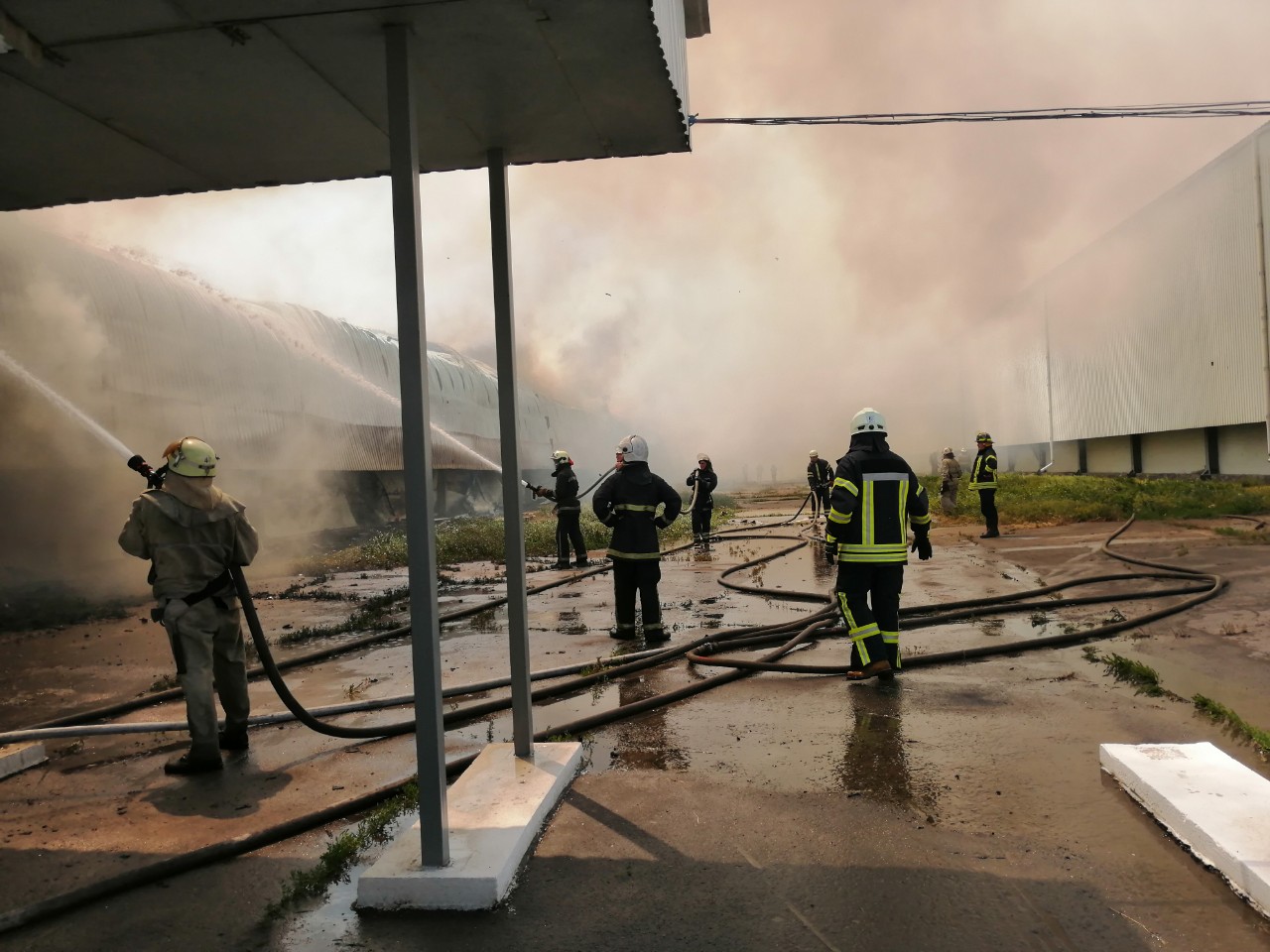 15 тисяч квадратних метрів у вогні: під Києвом масштабна пожежа на птахофабриці (ВІДЕО, ФОТО)