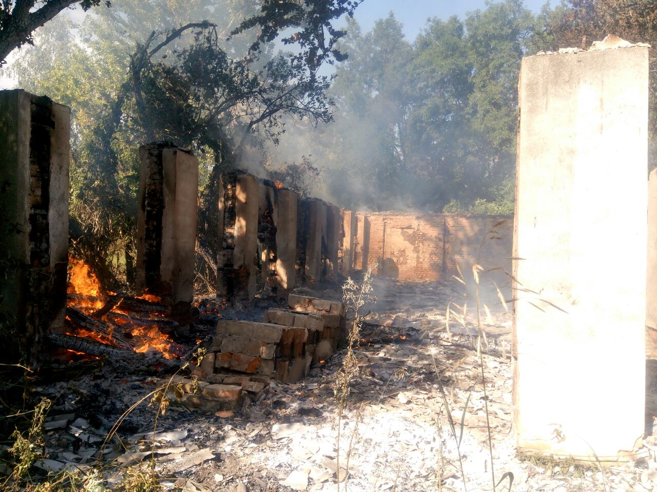 У Чорнобильській зоні відчуження виникла пожежа (ФОТО)