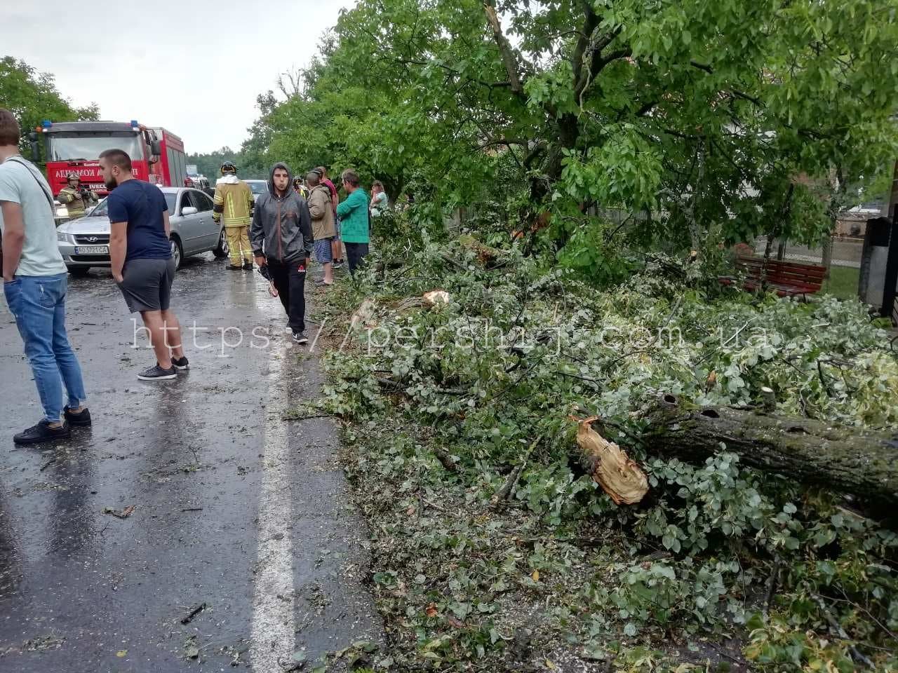 Рятувальники ліквідовують наслідки негоди на Берегівщині (ФОТО,ВІДЕО)