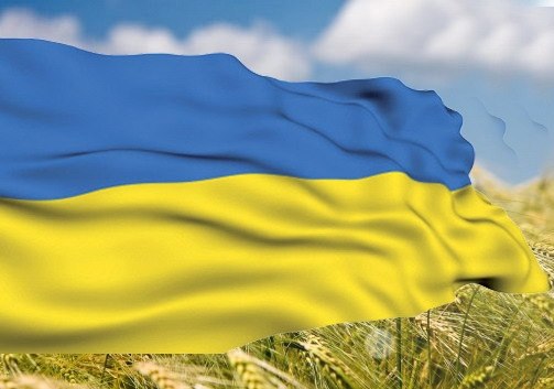 Виконавчий комітет міськради Мукачева звернувся до містян з проханням