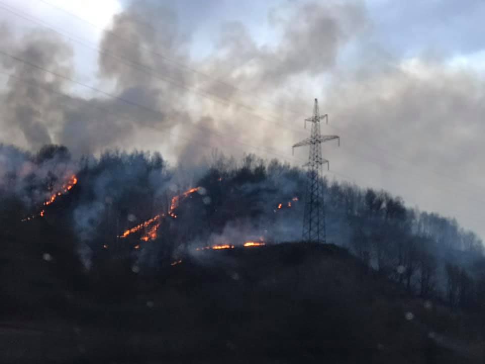 Соколів берег, Горб, "Оса": на Закарпатті вогонь знов вирував у лісах