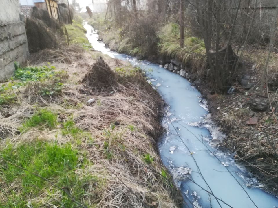 В Перечині завод забруднює хімікатами один з потічків (ФОТО)