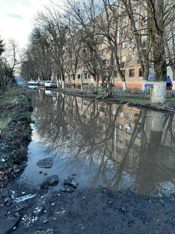 Треба вчитися літати: ужгородці скаржаться на "озера" боліт серед вулиць (ФОТО)