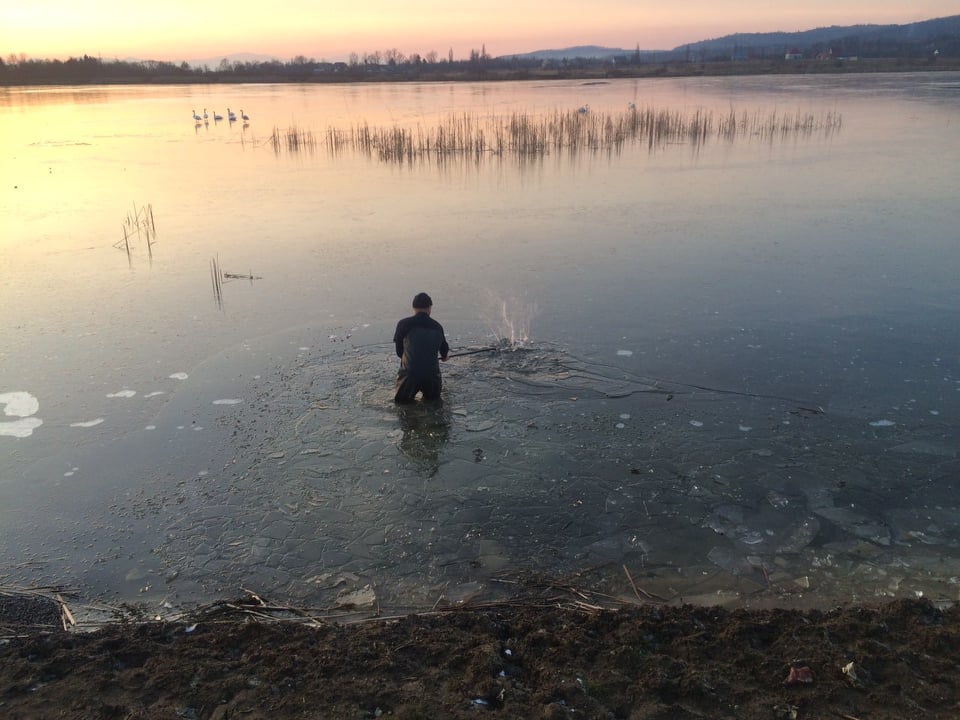 Крижаний полон: у Тячеві рятували сімейку пернатих (ФОТО)