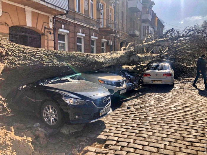 Є жертви: негода валить дерева і зносить дахи будинків (ФОТО)