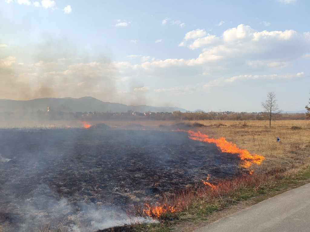 Поліція розшукала палія, який знищив Долину нарцисів на Закарпатті