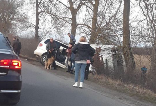 Аварія на Берегівщині: мінівен та вантажівка злетіли в кювет - ОНОВЛЕНО (ФОТО, ВІДЕО)