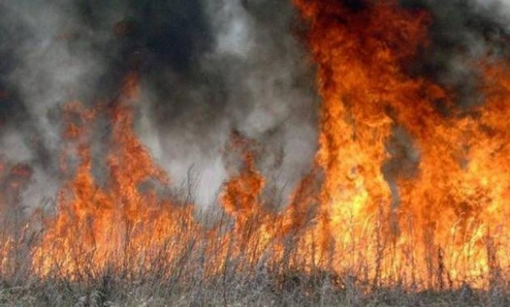 Не коронавірус, але теж страшне: у Тячеві вирував вогонь (ФОТО, ВІДЕО)