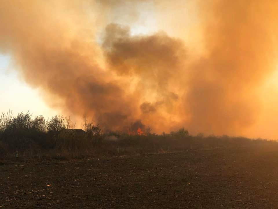 Й знову пожежа: на Мукачівщині дим від вогнища помітно за кілька кілометрів (ВІДЕО)