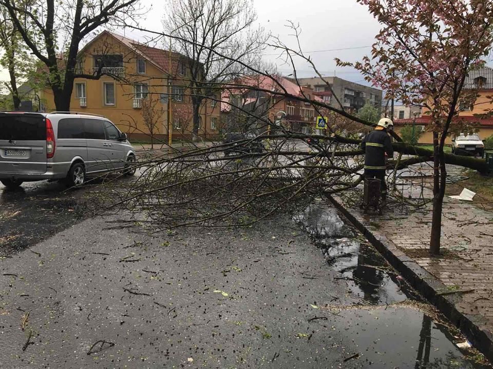 Шквальний вітер наробив біди на Закарпатті (ФОТО, ВІДЕО)