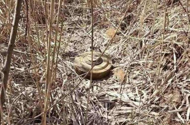 На Закарпатті в ромському таборі знайдено міну