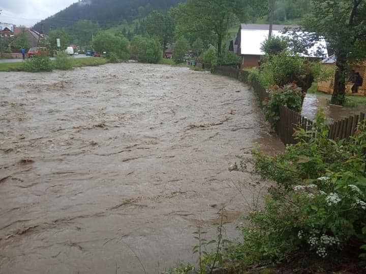 Стихія наробила лиха: Синевирська Поляна у воді (ФОТО)