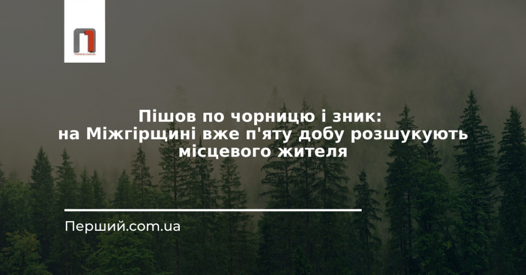 Пішов по чорницю і зник: на Міжгірщині вже п'яту добу розшукують місцевого жителя