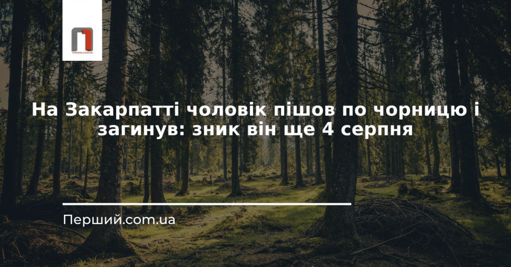 На Закарпатті чоловік пішов по чорницю і загинув: зник він ще 4 серпня