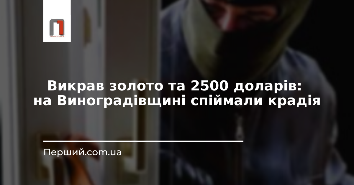 Викрав золото та 2500 доларів: на Виноградівщині спіймали крадія