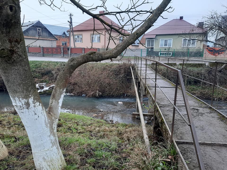 У Хусті невідомі викинули в річку тваринні нутрощі (ФОТО)