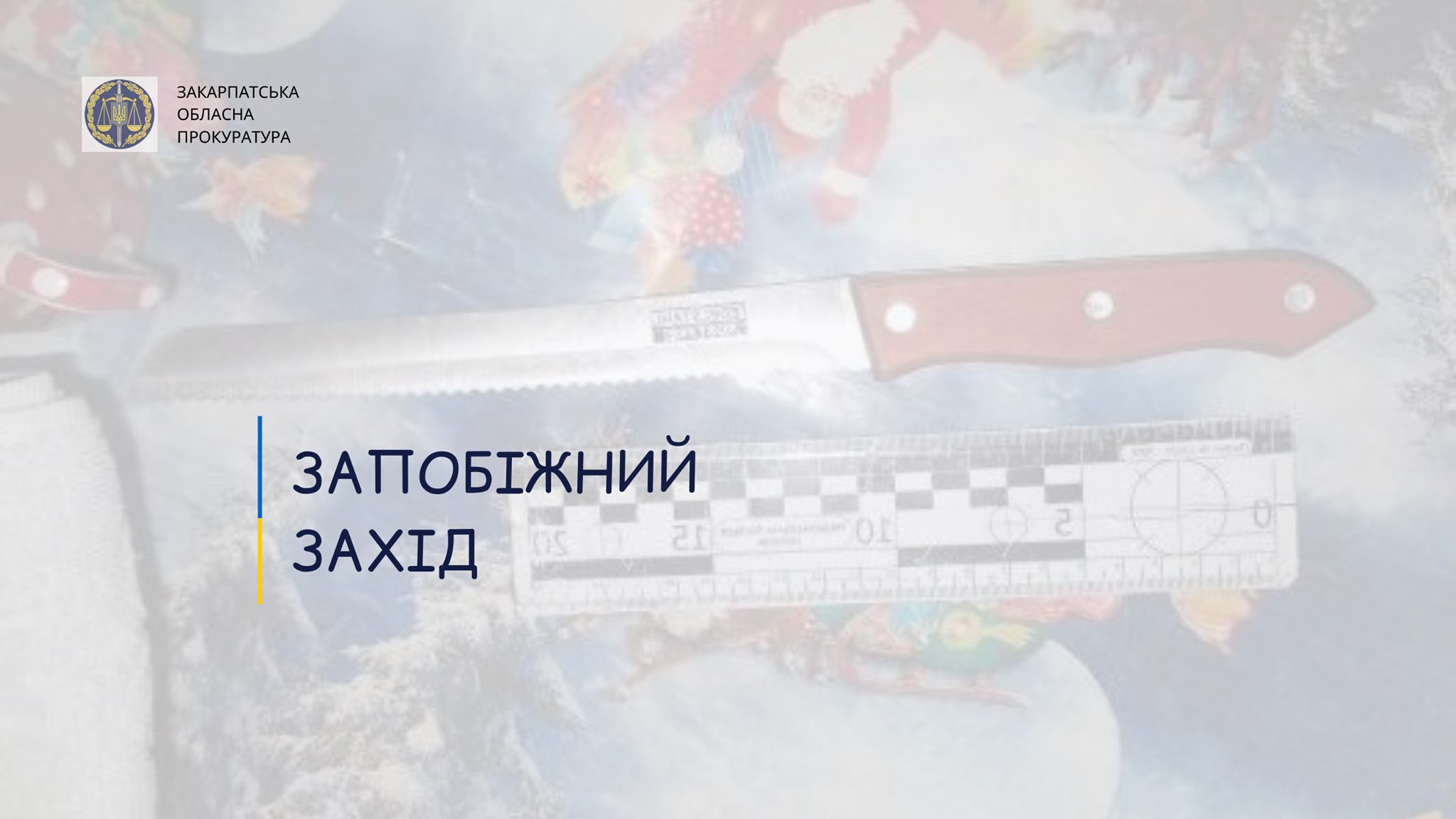 На Мукачівщині обрано запобіжний захід для чоловіка, який вчинив розбійний напад на пенсіонерку 