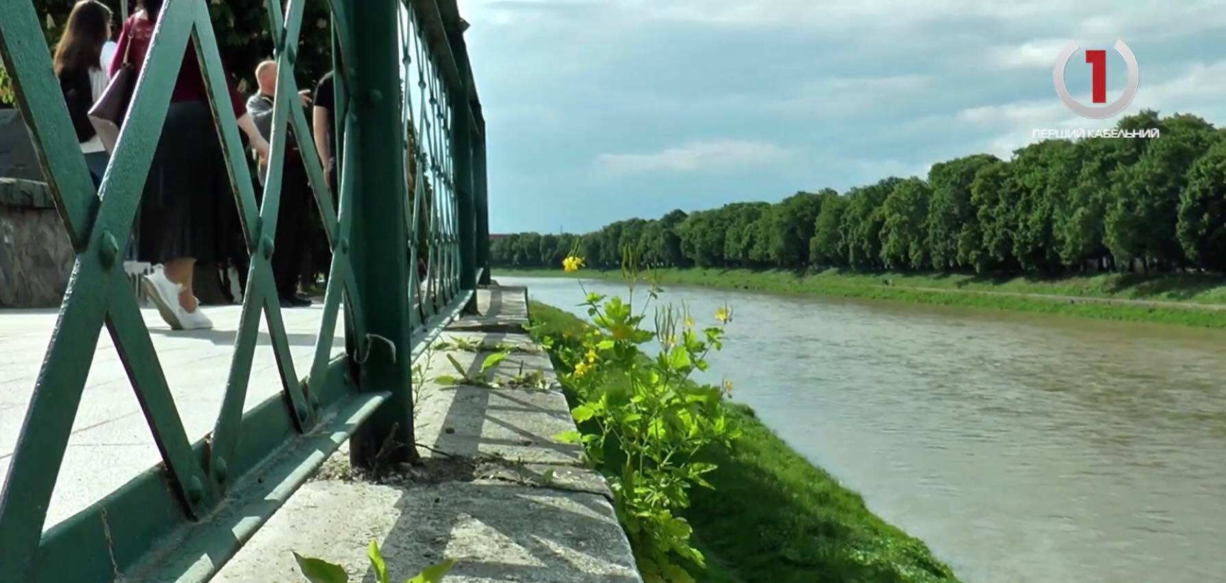 Боятися чи ні? В Ужгороді з приходом тепла активізувались змії (ВІДЕО)