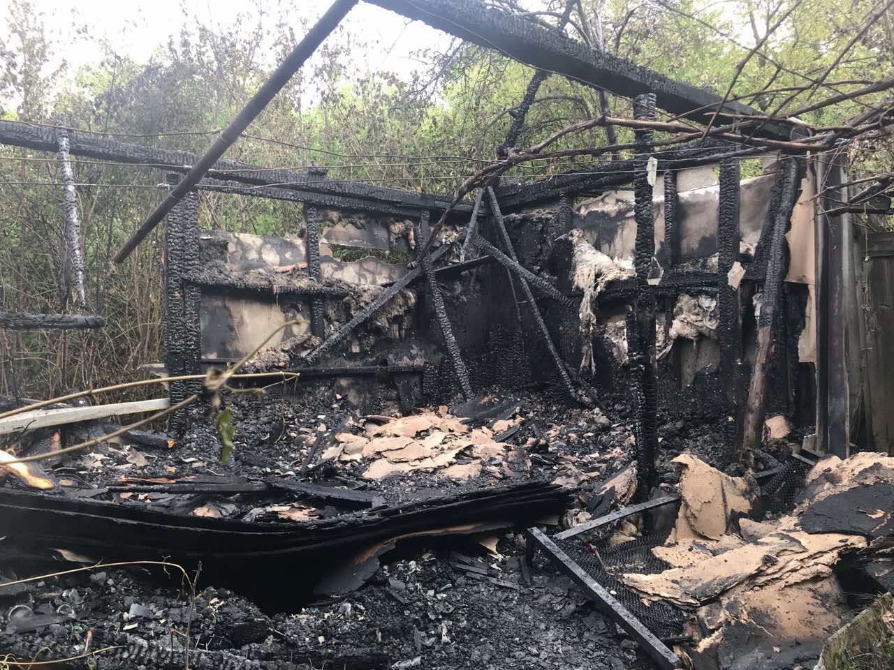 Пожежа на Ужгородщині: вогнище вщент зруйнувало будиночок (ФОТО)